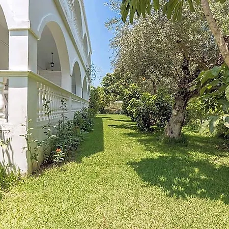 Ruassi